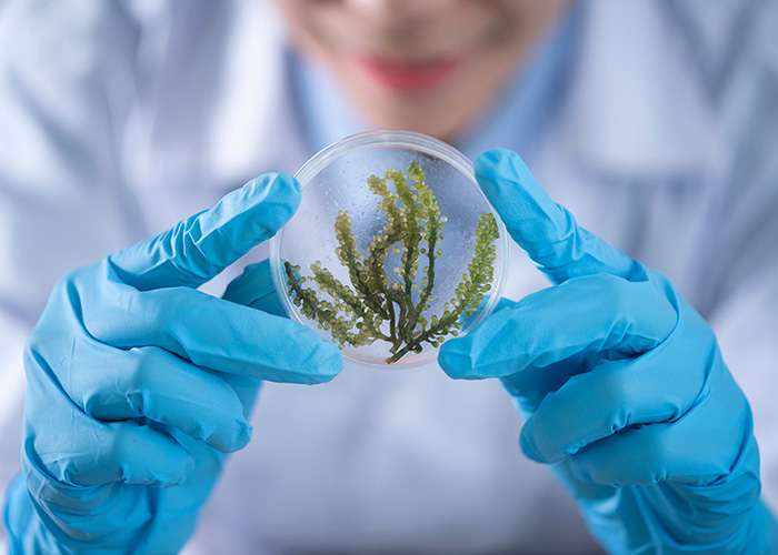  a person looking at a plant