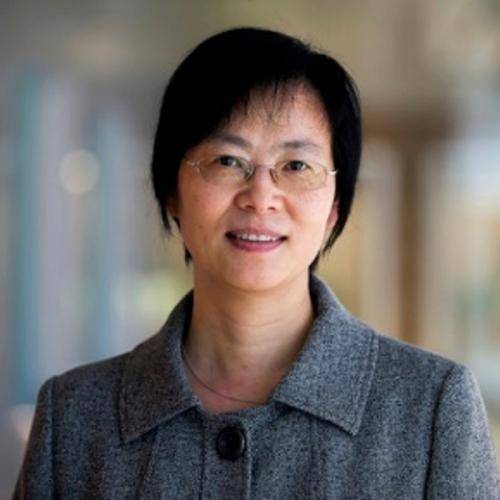Judy Jin