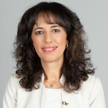 Pinar Keskinocak, Named ISyE School Chair